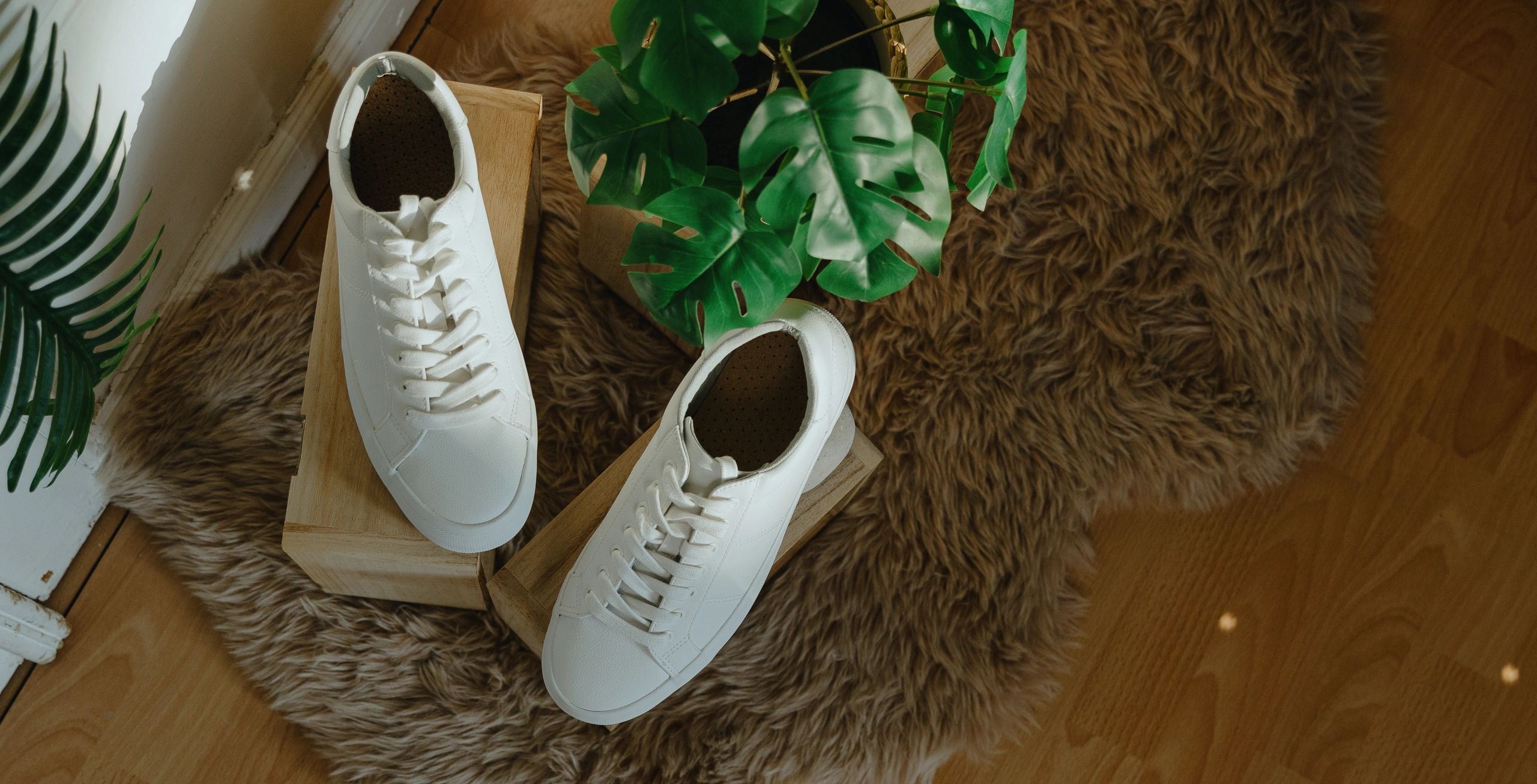 Sneakers displayed on a retail shelf